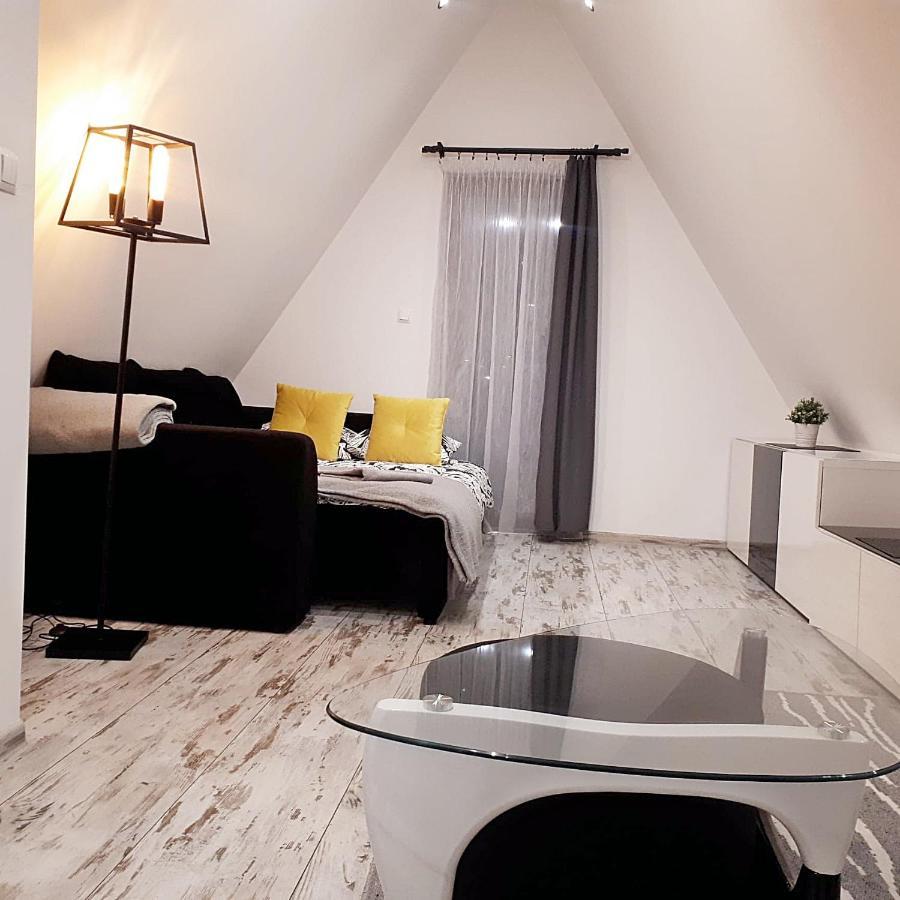 Апартаменты Apartament Strych Na Polanie Поронин Экстерьер фото